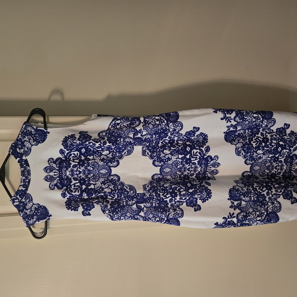 Elegant Blue and White Dress